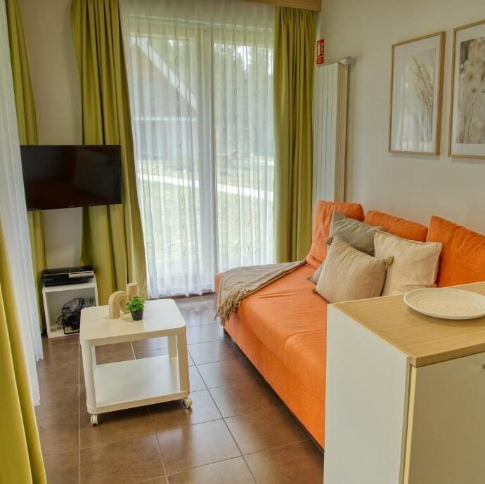 Dnevna soba v Apartmaju Pikabooth Topolšica